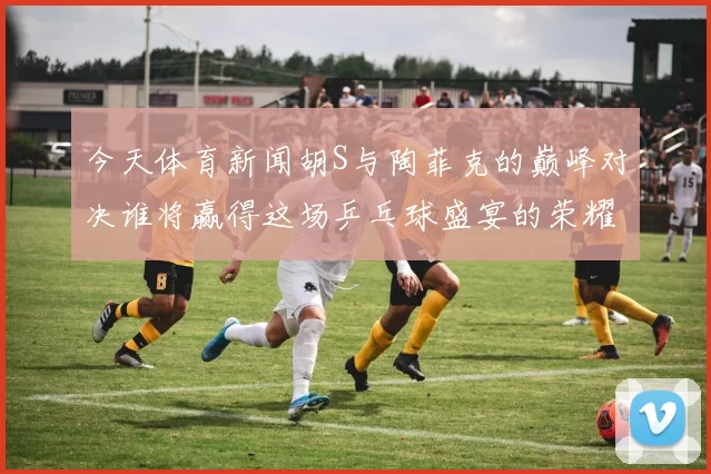 今天体育新闻胡S与陶菲克的巅峰对决谁将赢得这场乒乓球盛宴的荣耀与胜利